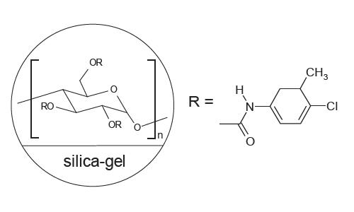 FLM Chiral NX(2)